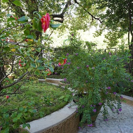 Apartamento La Casa Dell'Albero La Spezia Exterior foto